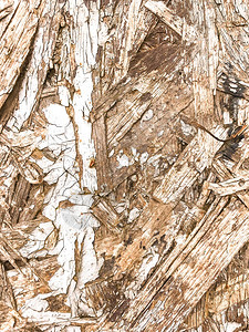木制表面的裂缝图片