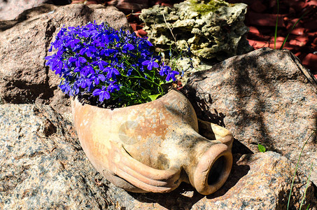 Clay罐装蓝花的锅图片