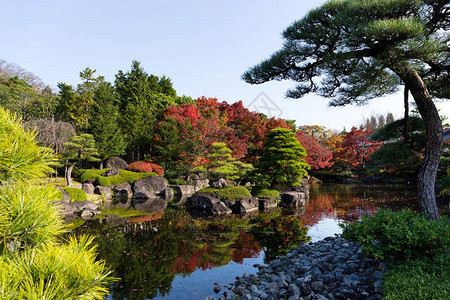 有秋天的日本庭院图片