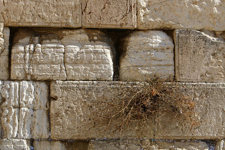 耶路撒冷旧城圣殿山的隔墙哭图片