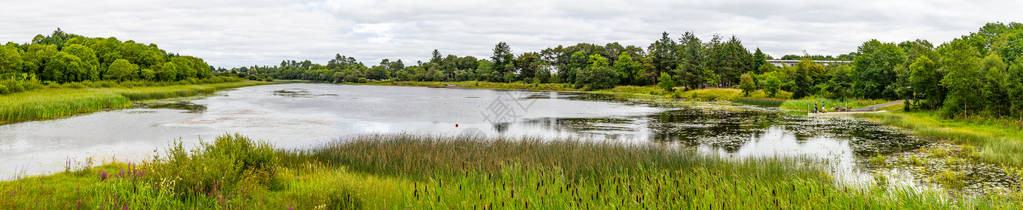 爱尔兰卡斯特巴尔岛一片充满树木反映的湖泊全景在图片