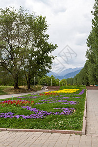 美丽的小巷在山地背景的城市公园里图片