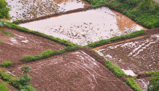 耕地顶视图农业区耕地种植稻田雨季图片