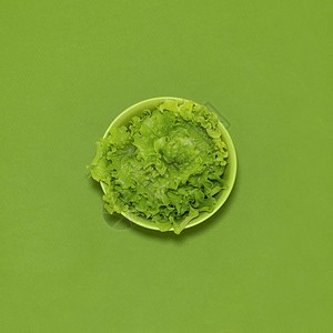 绿纸背景绿色碗中的生菜新鲜绿色叶子Squar图片