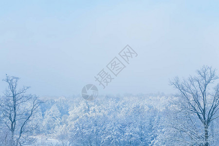 白雪公园和浅雾的美丽景色图片