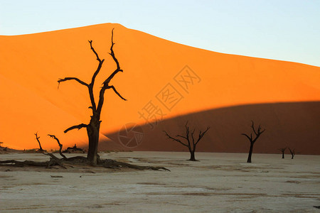 纳米比亚NamibNacluft公园纳米布沙漠南部的图片