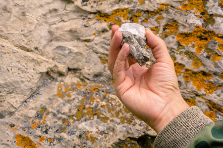 地质学家手掌上一块岩石上的透明石膏晶体图片