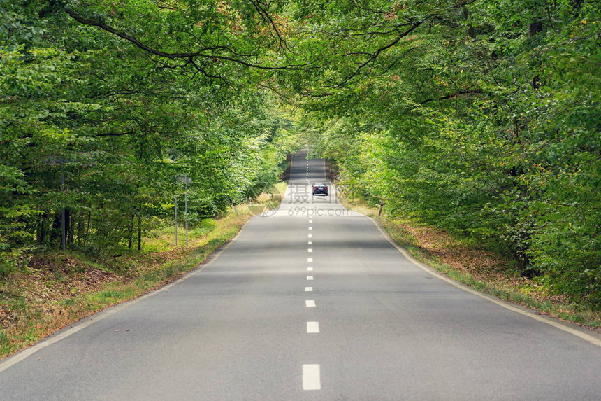 汽车在当地道路上行驶图片