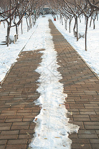 冬季公园的人行道图片