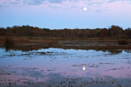 满月的倒影湖上的满月图片