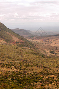 肯尼亚山上图片