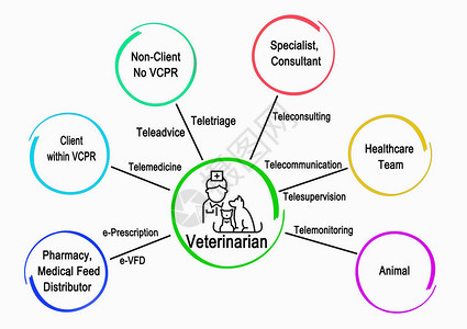 兽医与其他服务部门通讯服背景图片