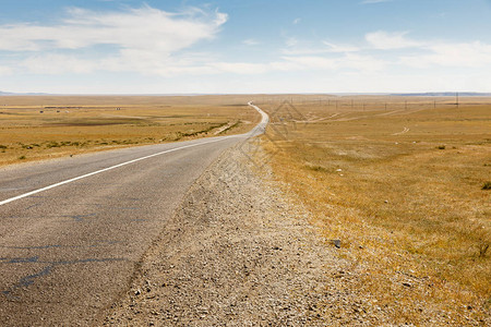 蒙古美丽的风景戈壁沙漠的白沥青路Sayshand高清图片