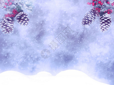 冬季圣诞节背景有雪绒枝背景图片