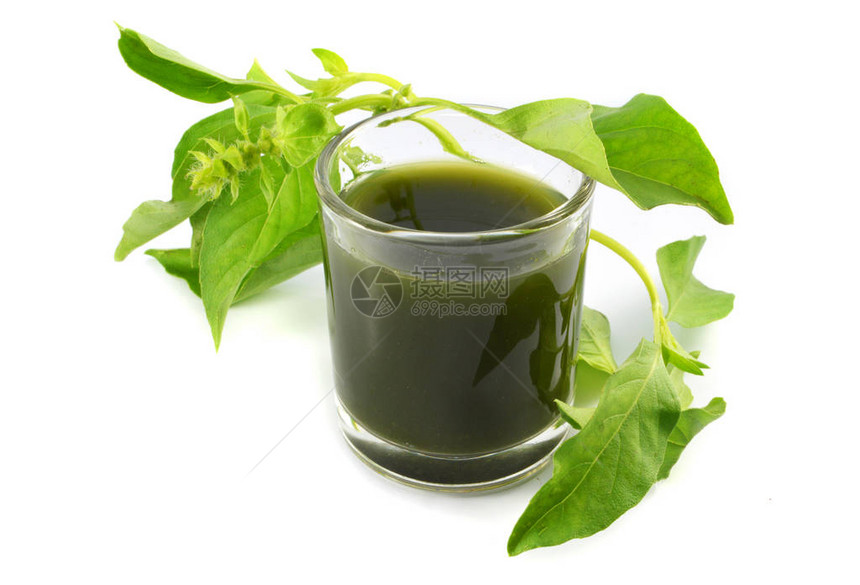 蔬菜汁水绿色香草绿色罗勒叶蔬菜水提取香草在玻璃健康隔图片