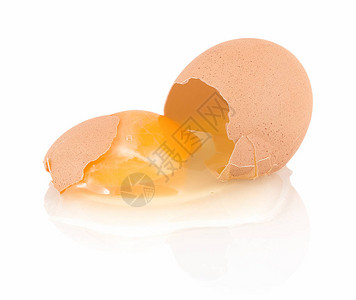 破碎的家庭生长棕色鸡蛋孤立与阴影反射的白色背景白色图片