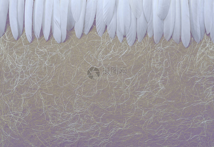 天使白色羽毛头浅黄色丁香色调背景一排整齐的细长白色羽毛并排放置图片