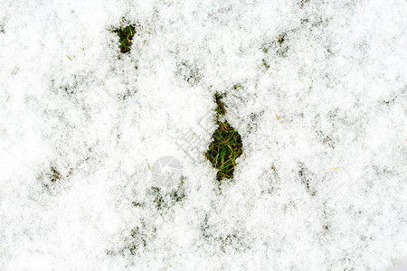 有雪纹理的中高草坪公园草坪纹理顶视图图片