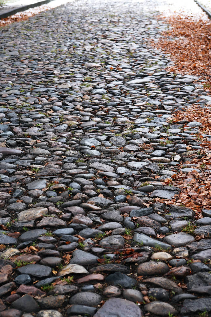 秋天的背景省城落叶的旧空鹅卵石巷道图片