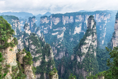 湖南Wwlingyuan教科文组织世界遗产地点张家江森林图片