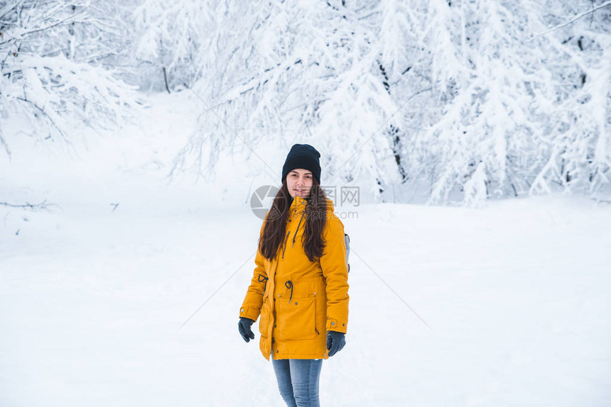 在雪地冬季公园概念图片