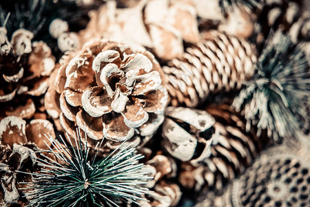 天然圣诞新年玩具松果和圣诞树枝特写冬季图片