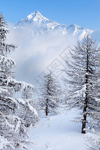 晴空降雪图片