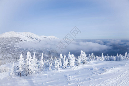 从山顶景观冬季山谷白雪皑的山峰和树木丘陵雾气云层的全景风区图片