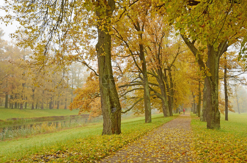 公园的秋天风景干图片
