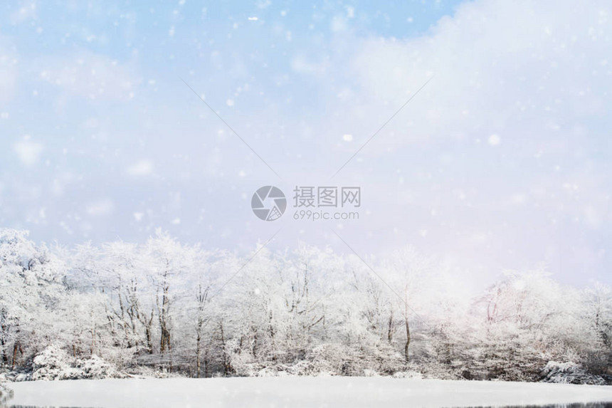 雪的模糊背景轻地落在雪覆盖的树木的冬季景观上图片