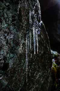 冬天岩石上的冰柱图片