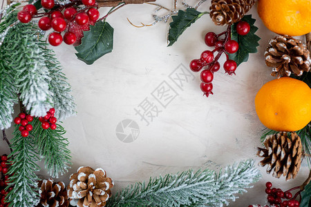 圣诞节装饰球果云杉树枝雪橘子图片