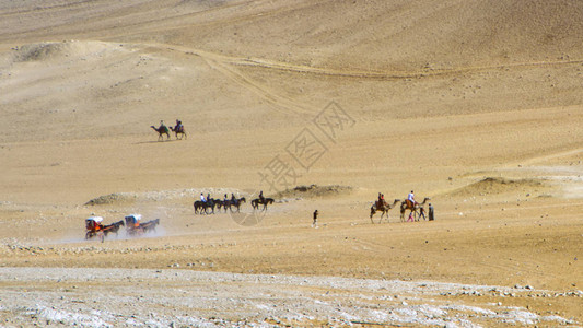 埃及开罗Giza高原上骑骆驼和图片