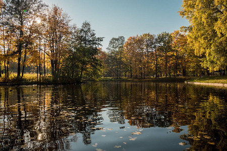 秋天风景湖面反射日图片