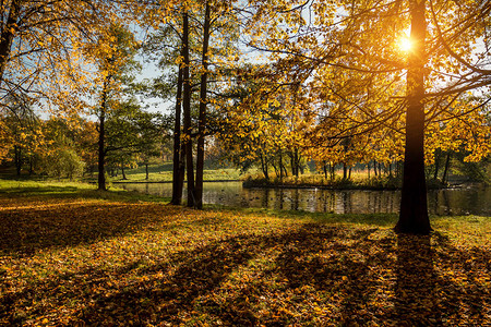 秋天风景湖面反射日图片