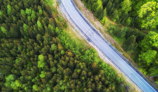 夏季森林道路上的鸟瞰图空中美丽的自然景观绿色森林和道路作为图片