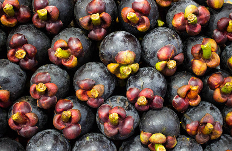 新鲜热带异国水果的背景整齐的成熟美味山竹水果皇后紫色山背景图片