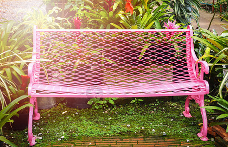 庭外的花园长椅花园鲜花泉中具有绿色植物背景的粉图片