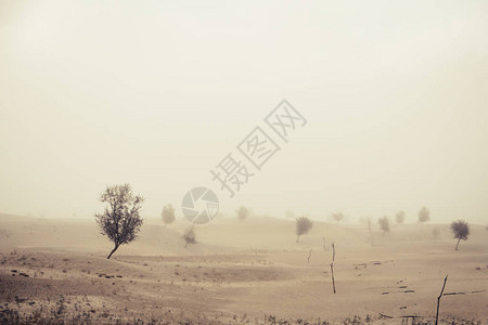 卡帕纳沙漠的沙尘暴前有风图片