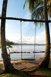 在泰国普吉岛海滩附近的树上挂着木椅图片