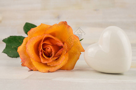 与白色心脏的橙色玫瑰色花背景图片