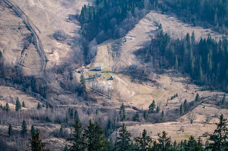 喀尔巴阡山脉腰上的房子图片