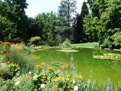 萨格勒布市植物园的池塘图片