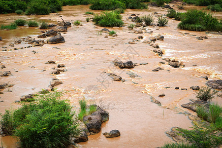 雨季的河水起潮图片