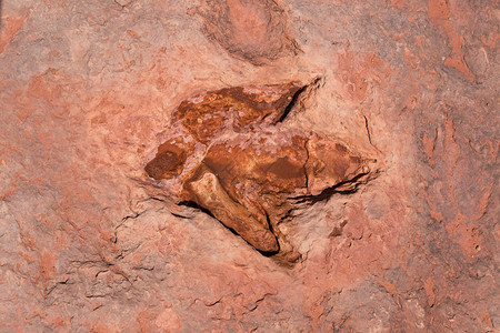 恐龙足迹这些恐龙足迹形成于侏罗纪早期图片
