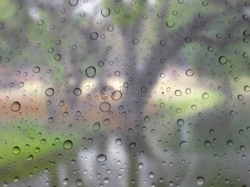 关闭玻璃背景上的雨滴树失焦图片