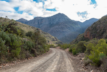 在南非西角Cederberg山脉阿尔及利亚附近的Uitkyk通口图片