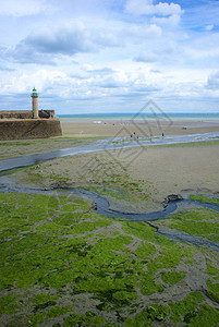 布列塔尼Armor海岸低潮时的灯塔港图片