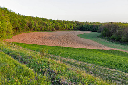 乌克兰春林的犁田图片