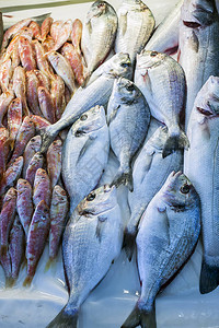 生鱼市场海产食图片